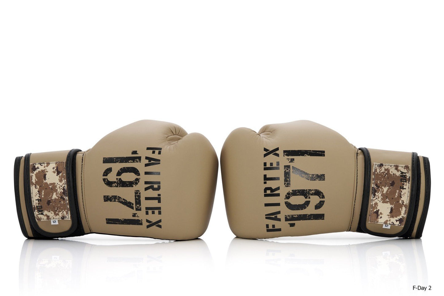 Fairtex Boxing Gloves BGV25 F-Day2 without box